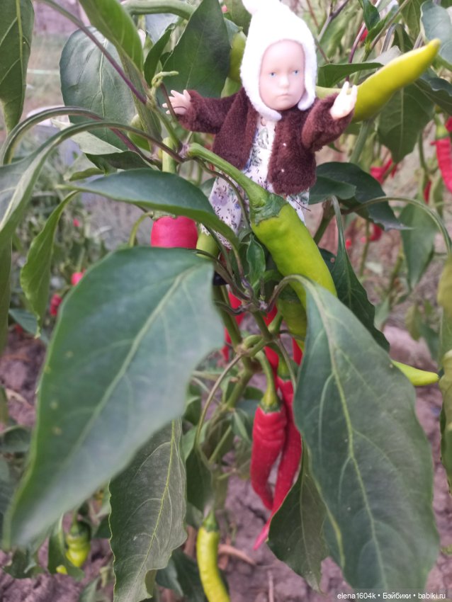 Собираем урожай — Куклы Минимир (Minimir): Пупсы 7 и 11 см (фото 5)