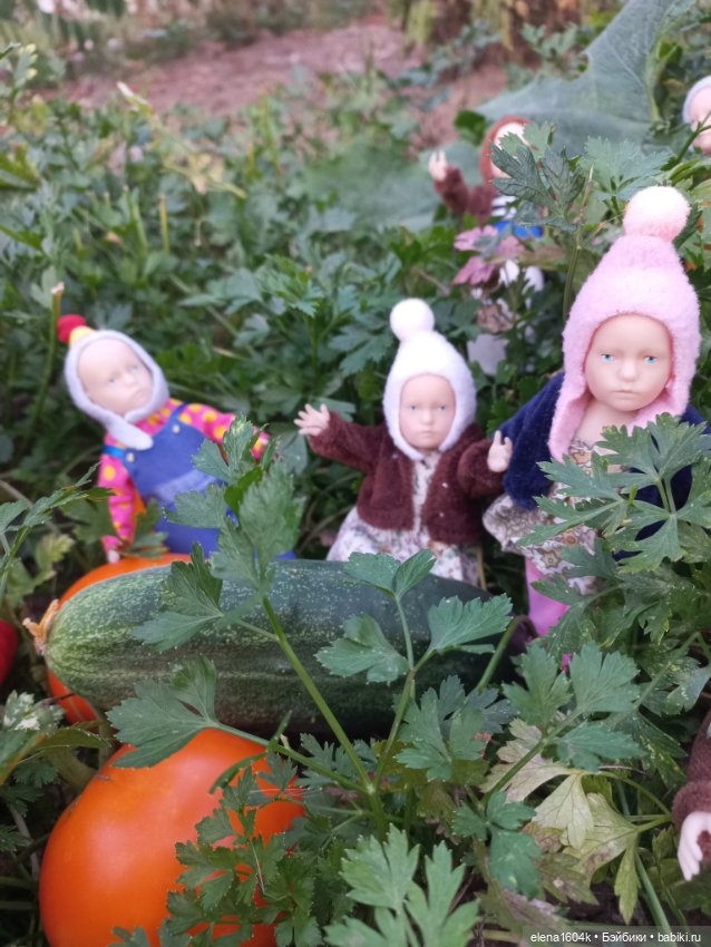 Собираем урожай — Куклы Минимир (Minimir): Пупсы 7 и 11 см