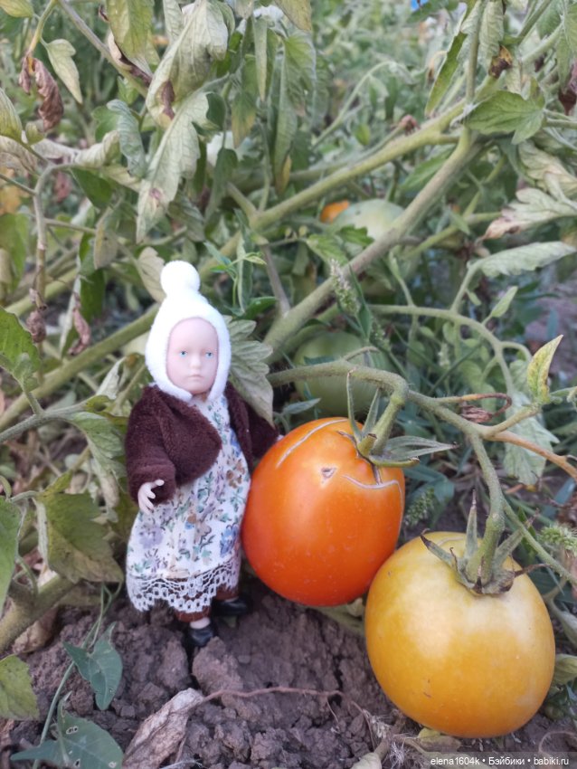 Собираем урожай — Куклы Минимир (Minimir): Пупсы 7 и 11 см (фото 2)