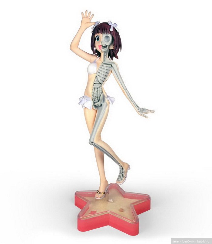 Анатомические скульптуры Jason Freeny