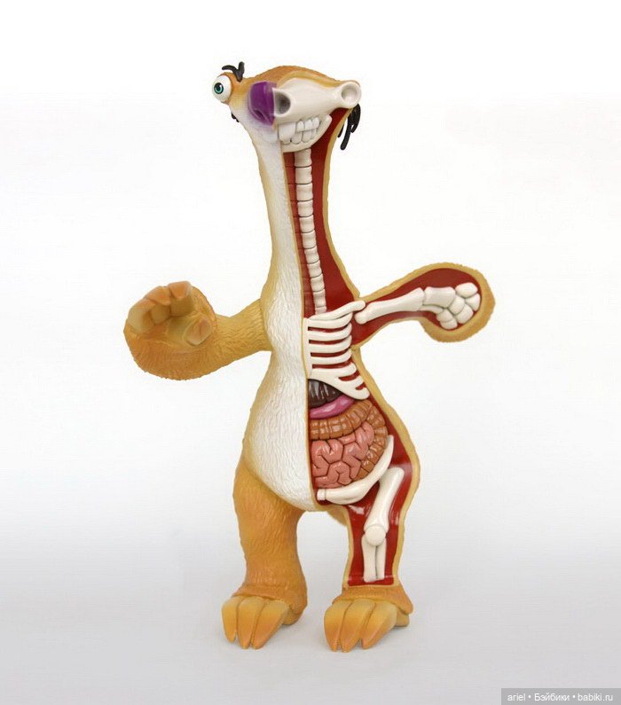 Анатомические скульптуры Jason Freeny