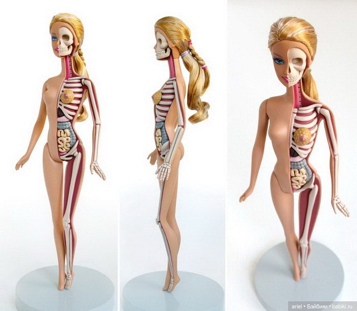 Анатомические скульптуры Jason Freeny