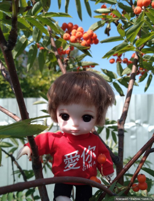 Лелик и Болик — Куклы Baboliy (Баболи (фото 2)