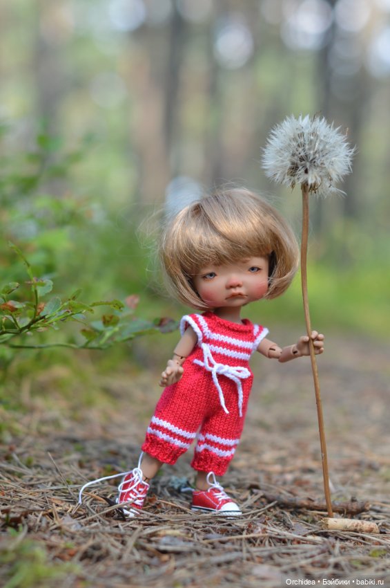 Кое что об Эри — Куклы Irrealdoll (Ирреалдолл): BJD (БЖД) (фото 5)