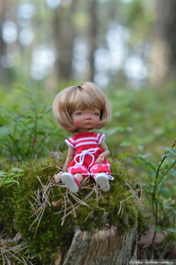 Кое что об Эри — Куклы Irrealdoll (Ирреалдолл): BJD (БЖД) (фото 4)