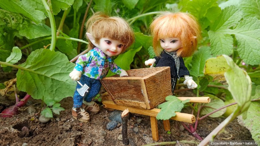 Собираем урожай редиски. Realpuki. 129 (фото 8)