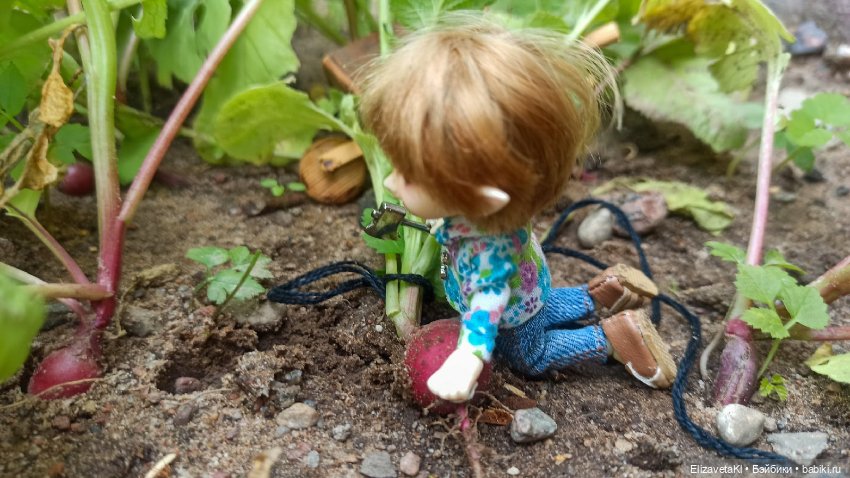 Собираем урожай редиски. Realpuki. 129