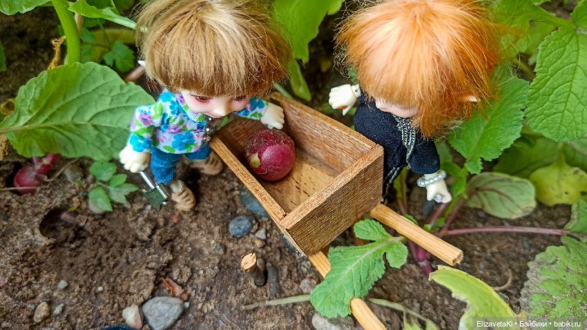 Собираем урожай редиски. Realpuki. 129