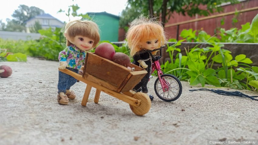 Собираем урожай редиски. Realpuki. 129