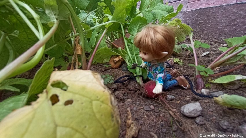 Собираем урожай редиски. Realpuki. 129