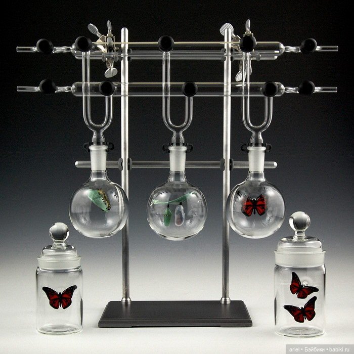 Шедевры из стекла Kiva Ford