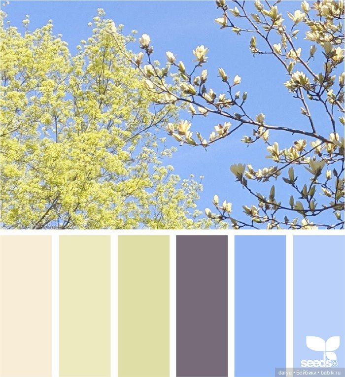 Красивое сочетание цветов (фото 8)