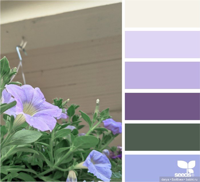 Красивое сочетание цветов