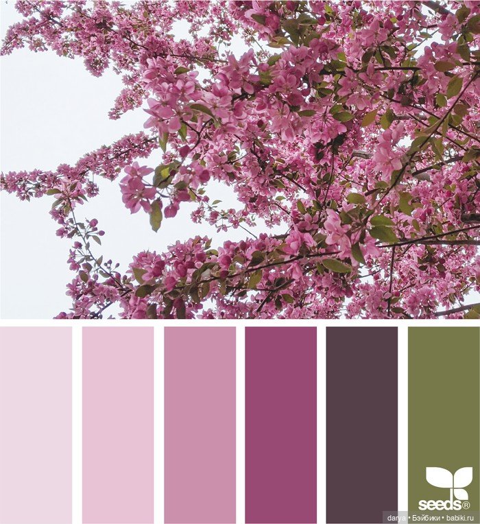 Красивое сочетание цветов (фото 7)