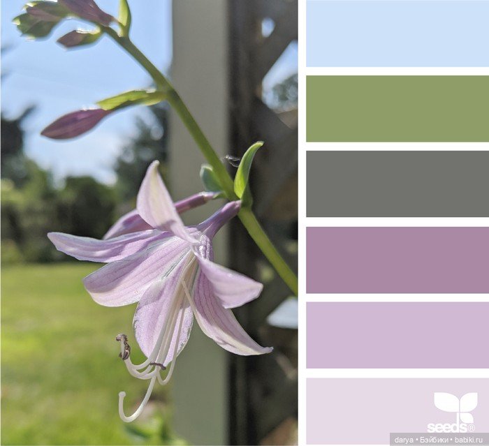 Красивое сочетание цветов