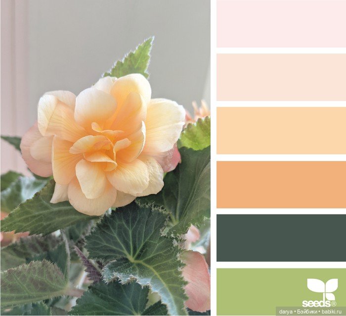 Красивое сочетание цветов