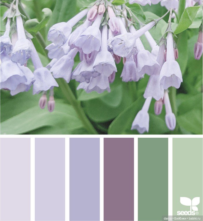 Красивое сочетание цветов