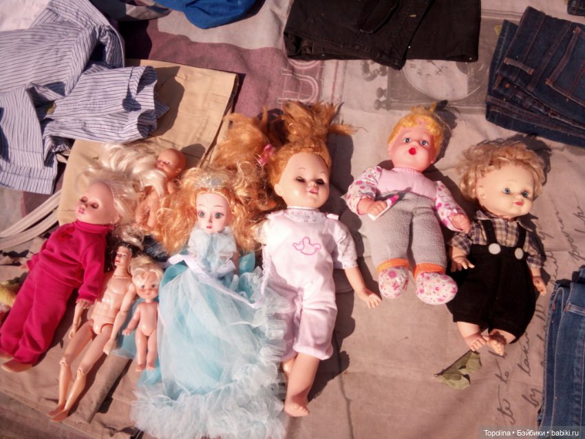 Блошка. Счастливые находки и очередное пополнение семейства