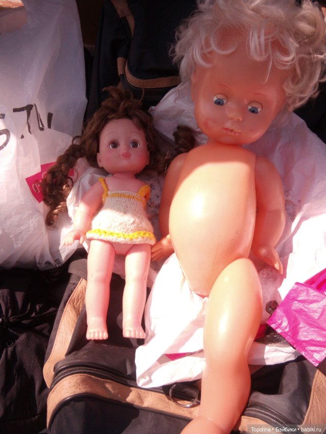 Блошка. Счастливые находки и очередное пополнение семейства