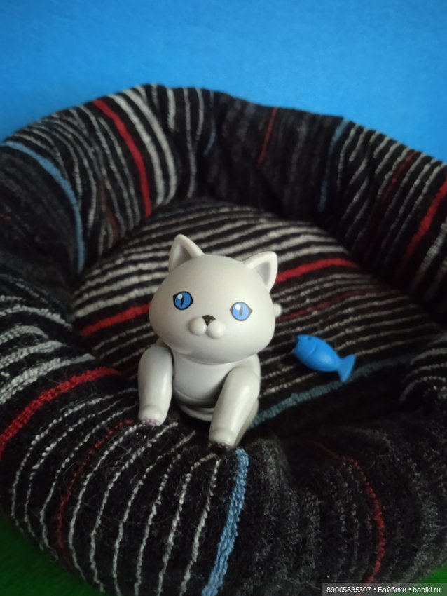 Как котик Марсель себе хозяйку выбирал