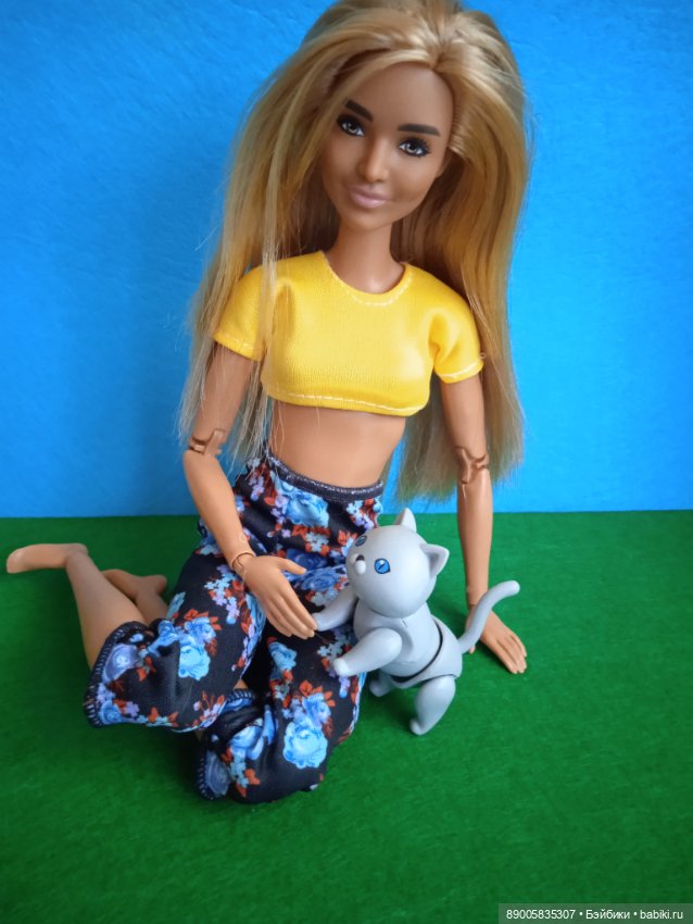 Как котик Марсель себе хозяйку выбирал