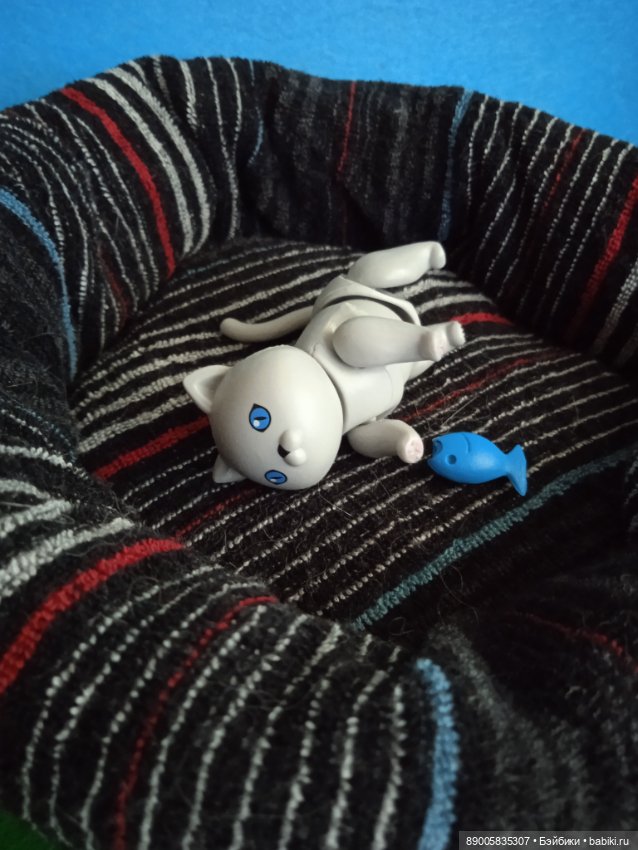 Как котик Марсель себе хозяйку выбирал