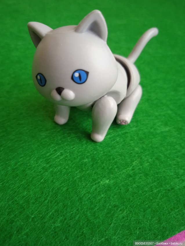 Как котик Марсель себе хозяйку выбирал (фото 2)