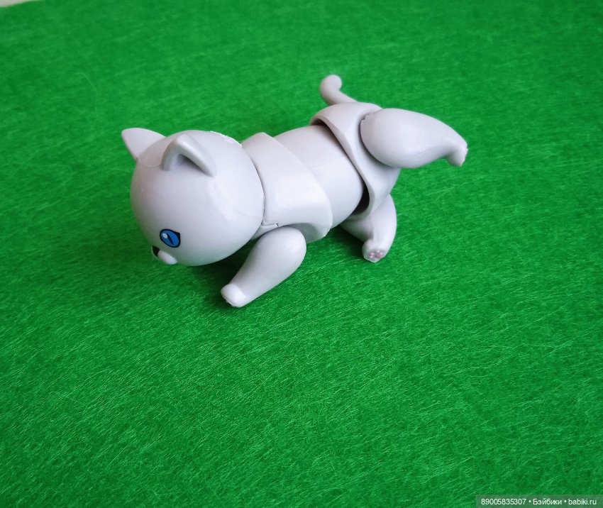 Как котик Марсель себе хозяйку выбирал (фото 4)