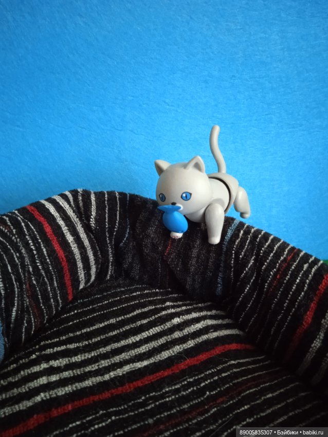 Как котик Марсель себе хозяйку выбирал