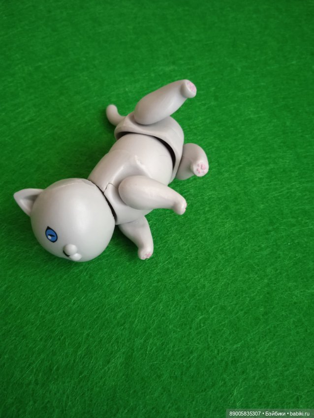 Как котик Марсель себе хозяйку выбирал (фото 3)