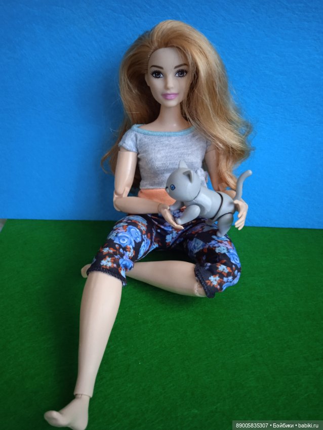 Как котик Марсель себе хозяйку выбирал