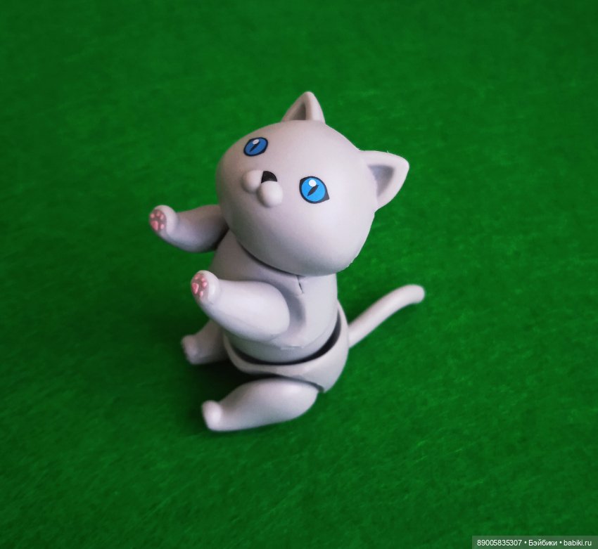 Как котик Марсель себе хозяйку выбирал (фото 5)