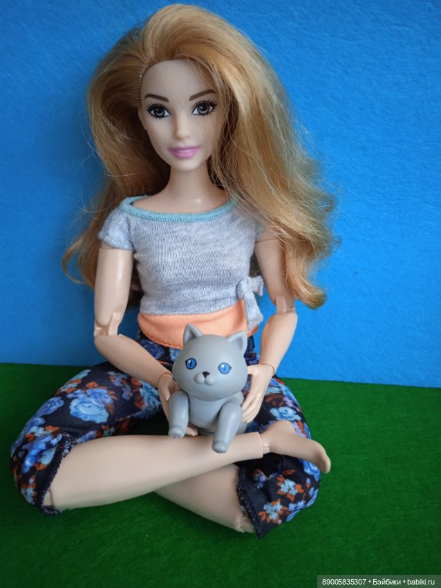 Как котик Марсель себе хозяйку выбирал