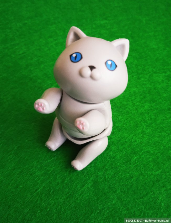 Как котик Марсель себе хозяйку выбирал (фото 6)