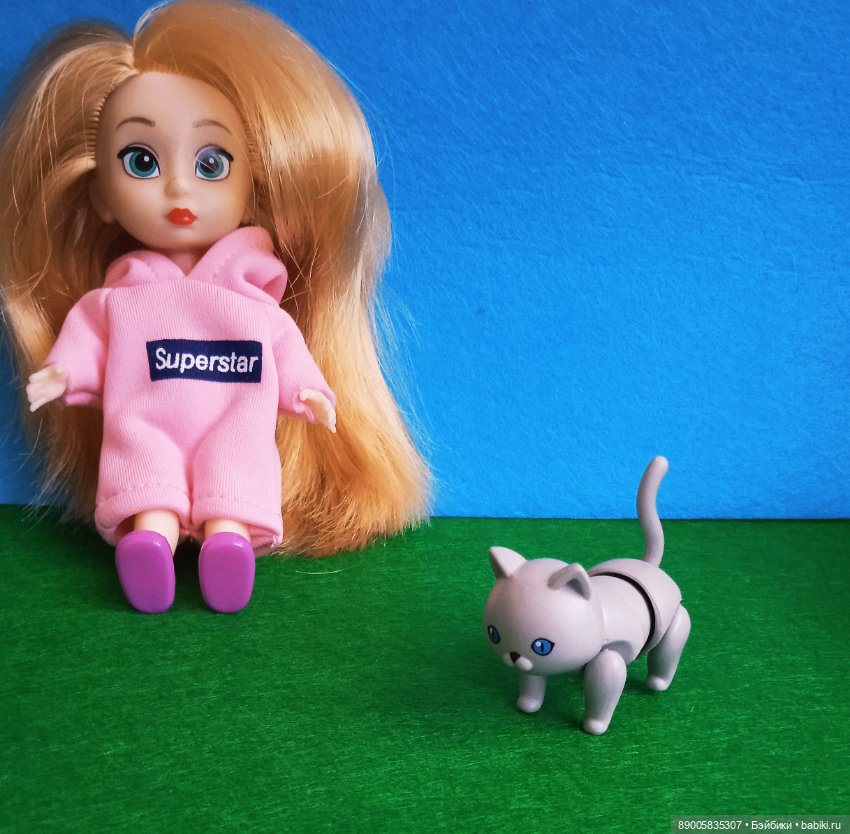 Как котик Марсель себе хозяйку выбирал