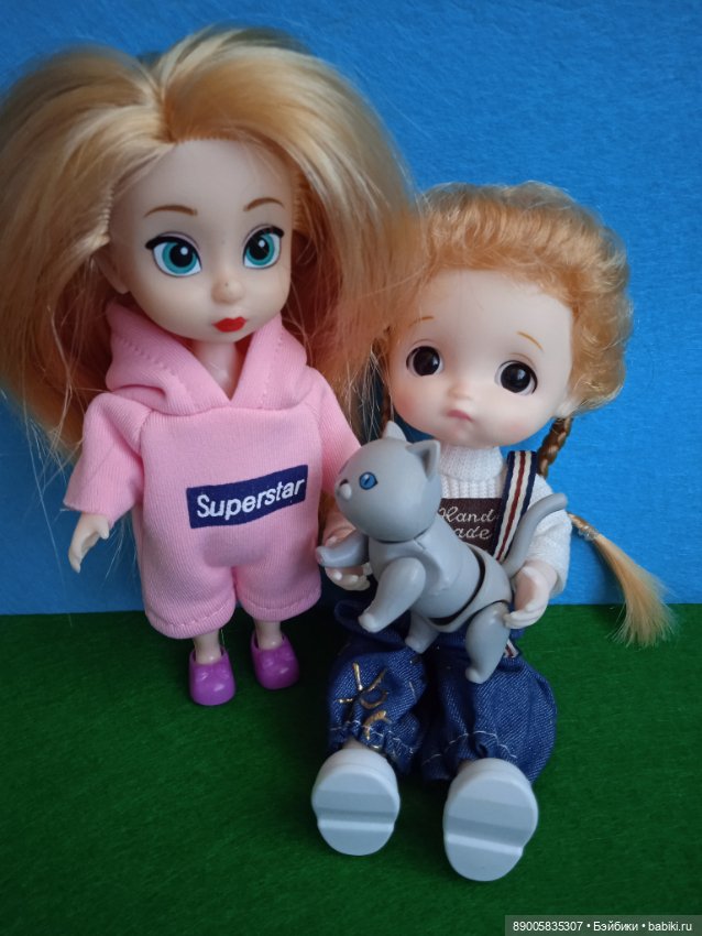 Как котик Марсель себе хозяйку выбирал (фото 9)