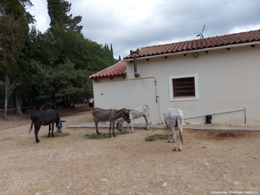 Fashion Dolls 250 — Куклы Звезды подиума (Angel Collection): шарнирные