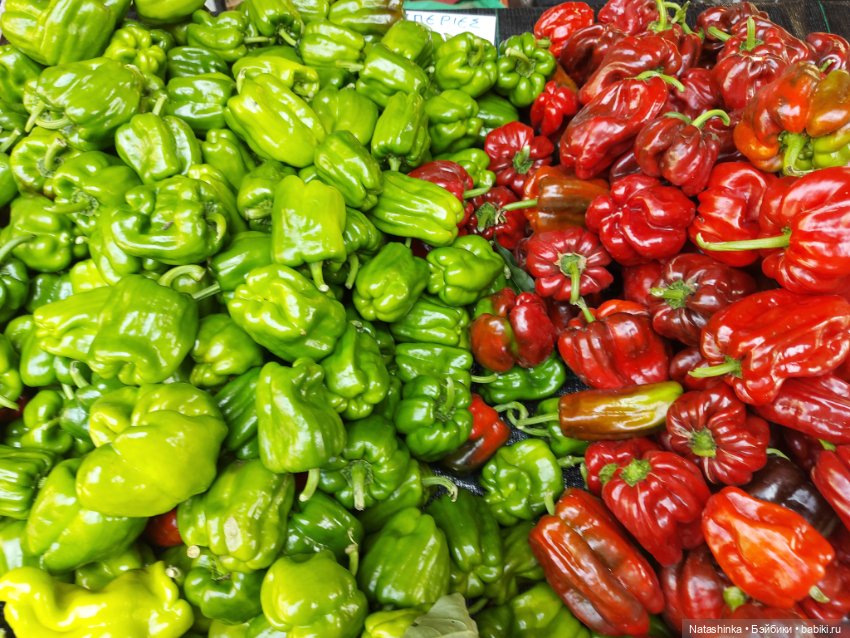 Fashion Dolls 250 — Куклы Звезды подиума (Angel Collection): шарнирные (фото 6)