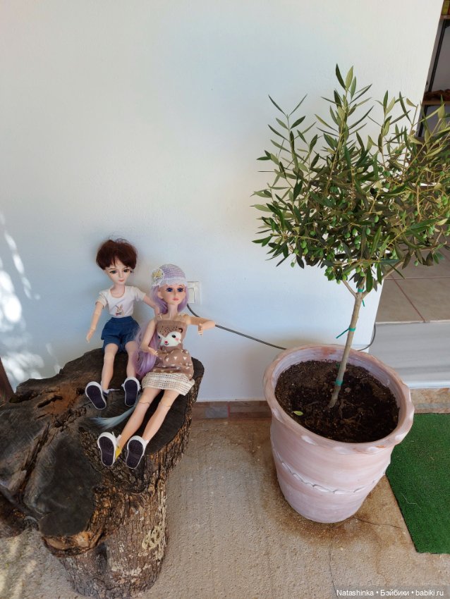 Fashion Dolls 250 — Куклы Звезды подиума (Angel Collection): шарнирные (фото 2)