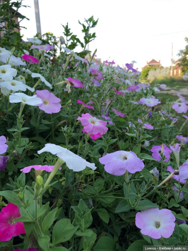 Гамлет Вачикович — Интересные игрушки и фигурки (разное): редкие