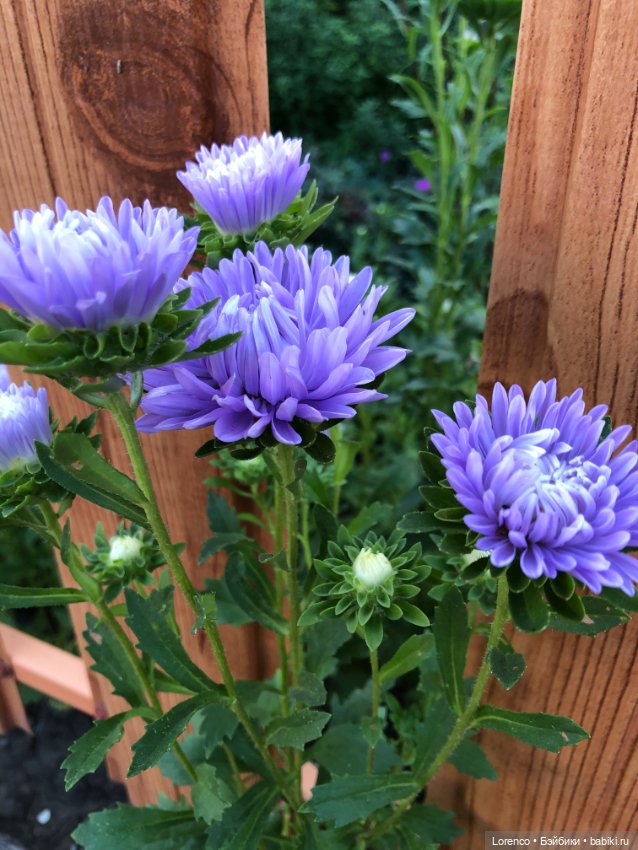 Гамлет Вачикович — Интересные игрушки и фигурки (разное): редкие