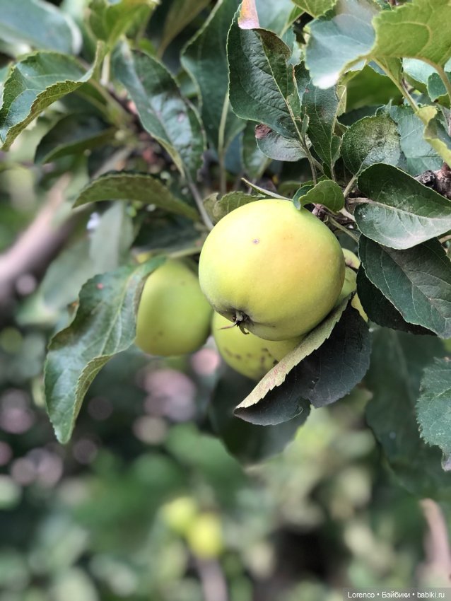 Гамлет Вачикович — Интересные игрушки и фигурки (разное): редкие