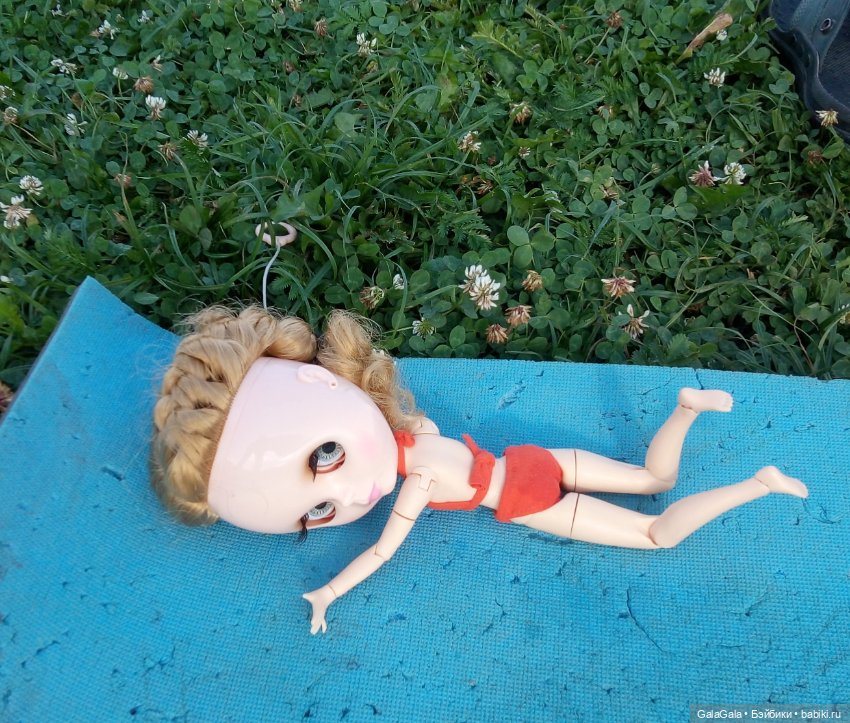 Небольшой фоторепортаж с речного пляжа, или как Тата (блайз) на речке отдыхала) (фото 8)