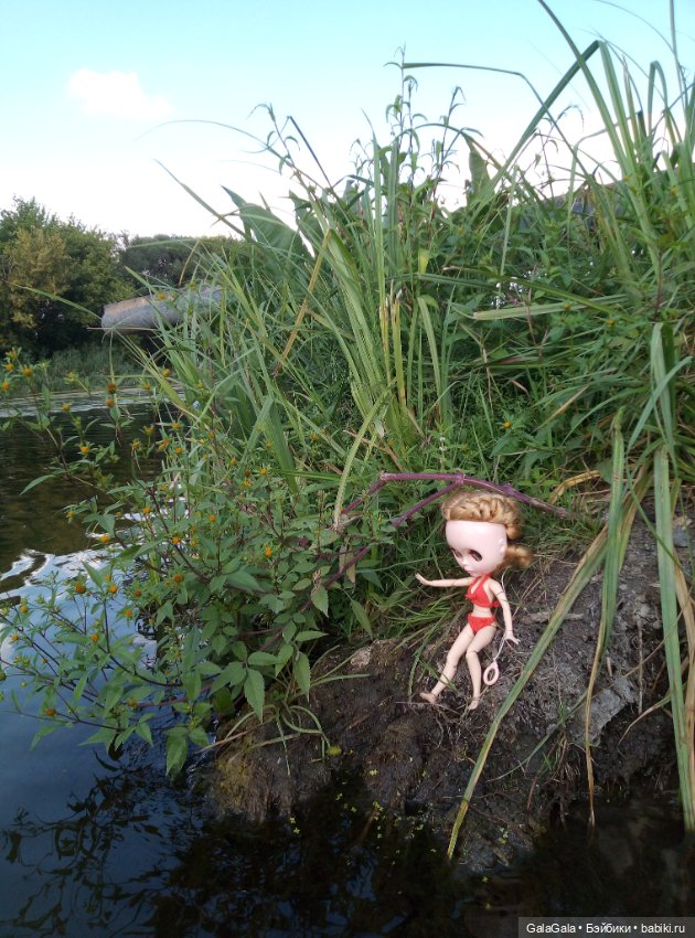 Небольшой фоторепортаж с речного пляжа, или как Тата (блайз) на речке отдыхала) (фото 7)