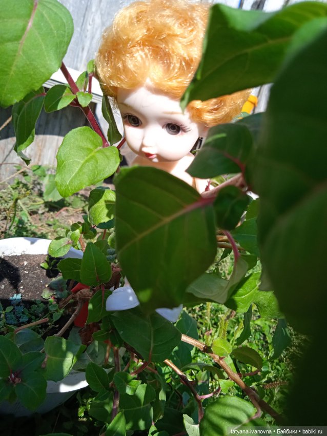 По следам советского мультика "Комаров" Часть 3. Заключительная (фото 9)