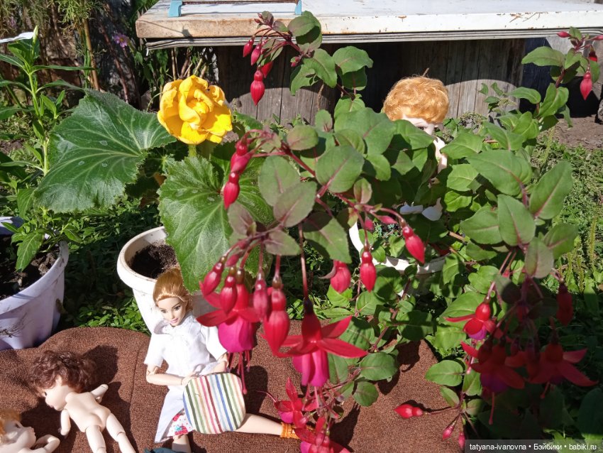 По следам советского мультика "Комаров" Часть 3. Заключительная (фото 8)