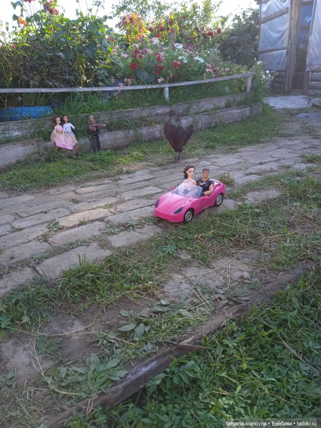 По следам советского мультика "Комаров" Часть 3. Заключительная