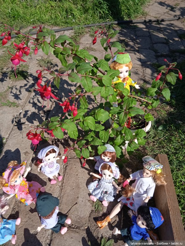 По следам советского мультика "Комаров" Часть 3. Заключительная