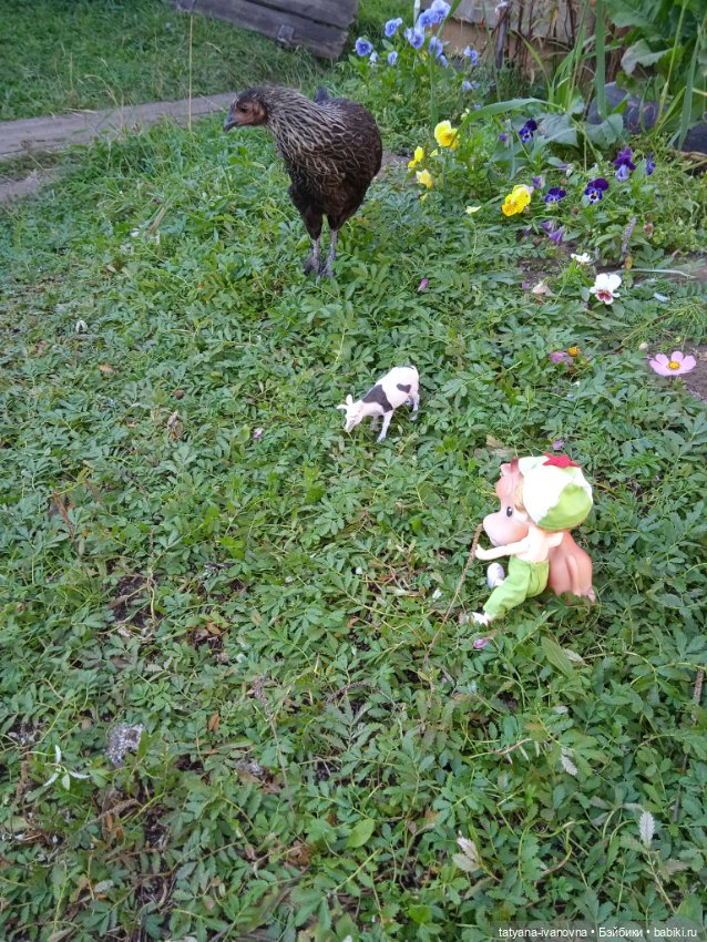 По следам советского мультика "Комаров" Часть 3. Заключительная