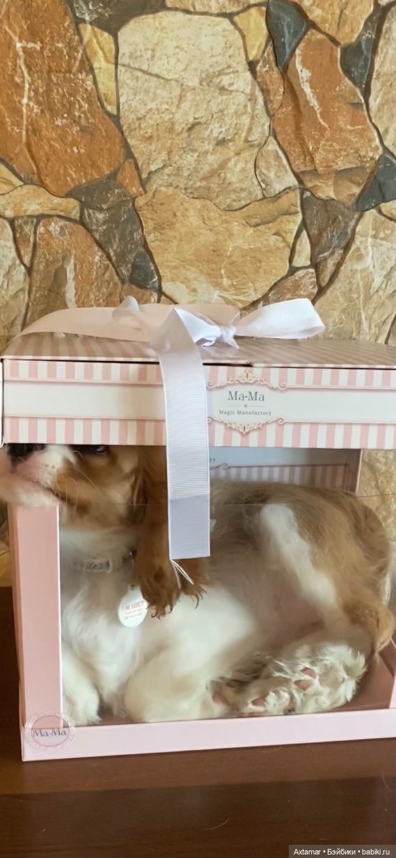 Кукольные аксессуары не только для кукол (фото 4)